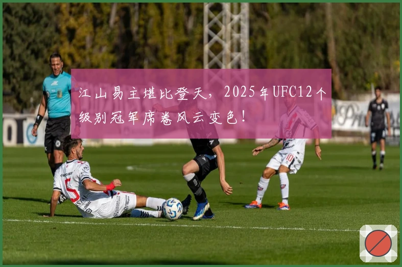 江山易主堪比登天，2025年UFC12个级别冠军席卷风云变色！